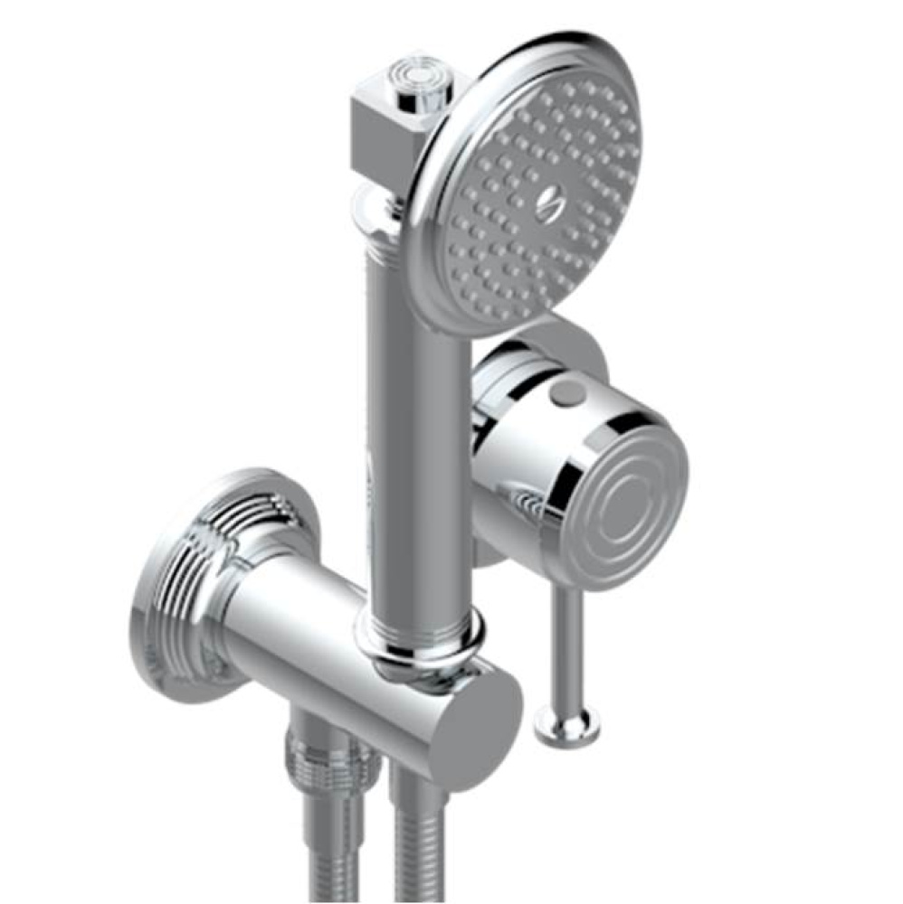 Trim Only For Wall Mixer With Complete Handshower On Hook