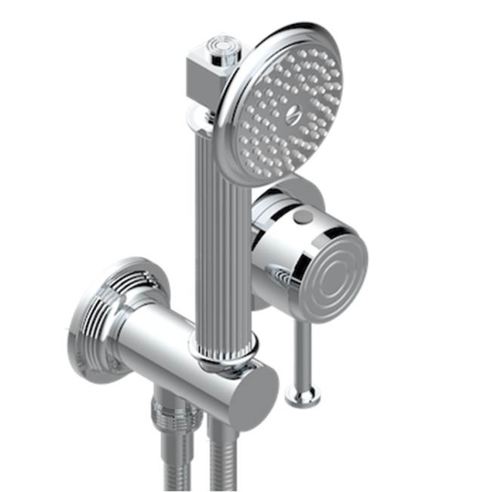 Trim Only For Wall Mixer With Complete Handshower On Hook