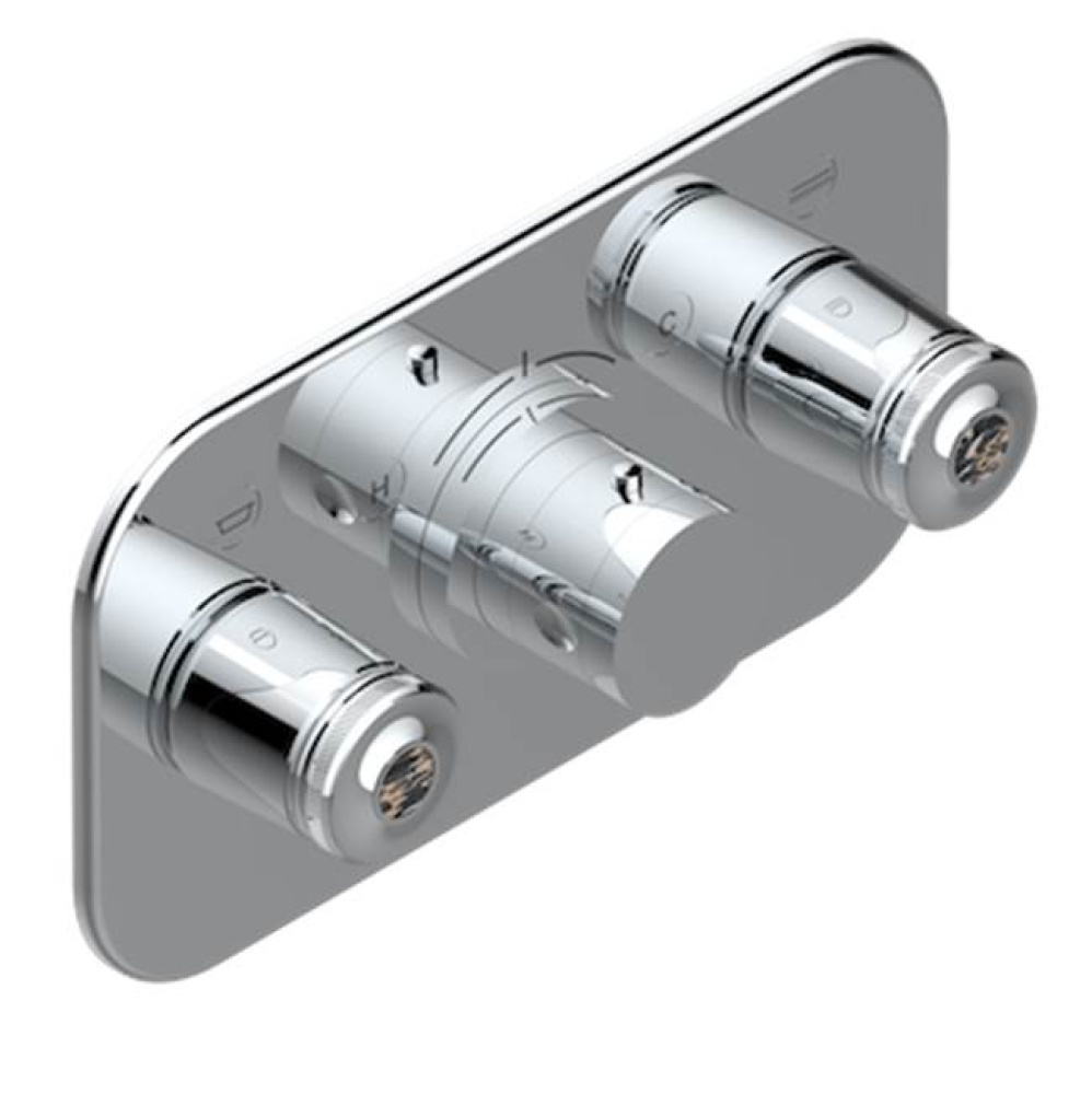 Trim For Thg Thermostat With 2 Valves Ref. 5 401ahm/us Rough Part Supplied With Fixing Box, Item T