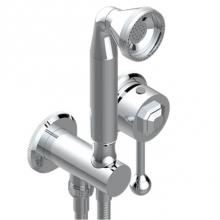 THG A58-6561B-A02 - Trim Only For Wall Mixer With Complete Handshower On Hook