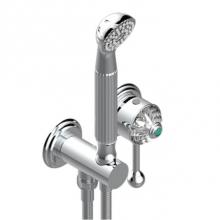 THG A8M-6561B-A02 - Trim Only For Wall Mixer With Complete Handshower On Hook