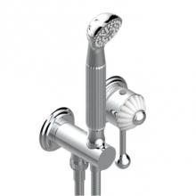 THG A9B-6561B-A02 - Trim Only For Wall Mixer With Complete Handshower On Hook