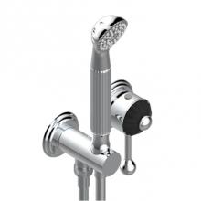 THG A9C-6561B-A02 - Trim Only For Wall Mixer With Complete Handshower On Hook
