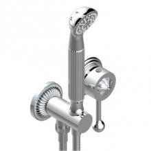 THG G14-6561B-A02 - Trim Only For Wall Mixer With Complete Handshower On Hook