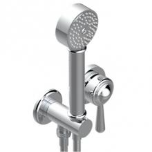 THG G7A-6561B-A02 - Trim Only For Wall Mixer With Complete Handshower On Hook