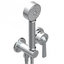 THG G7C-6561B-A02 - Trim Only For Wall Mixer With Complete Handshower On Hook