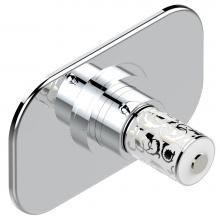 THG G2R-5100B-A02 - Trim for THG thermostatic valve, rough part supplied with fixing box ref.5 200AE/US