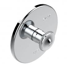 THG G31-320B-A02 - Trim for pressure balance valve