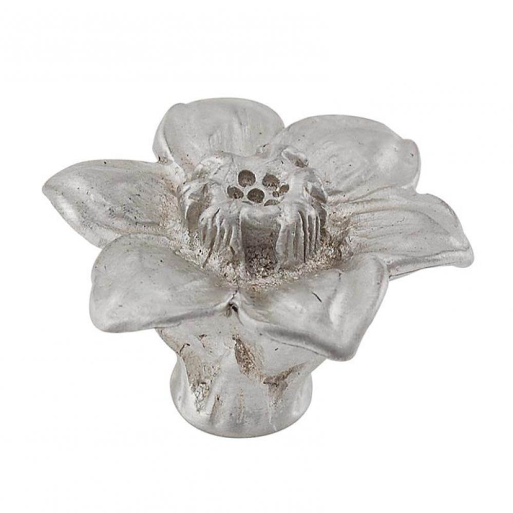 Carlotta, Knob, Large, Hibiscus, Satin Nickel
