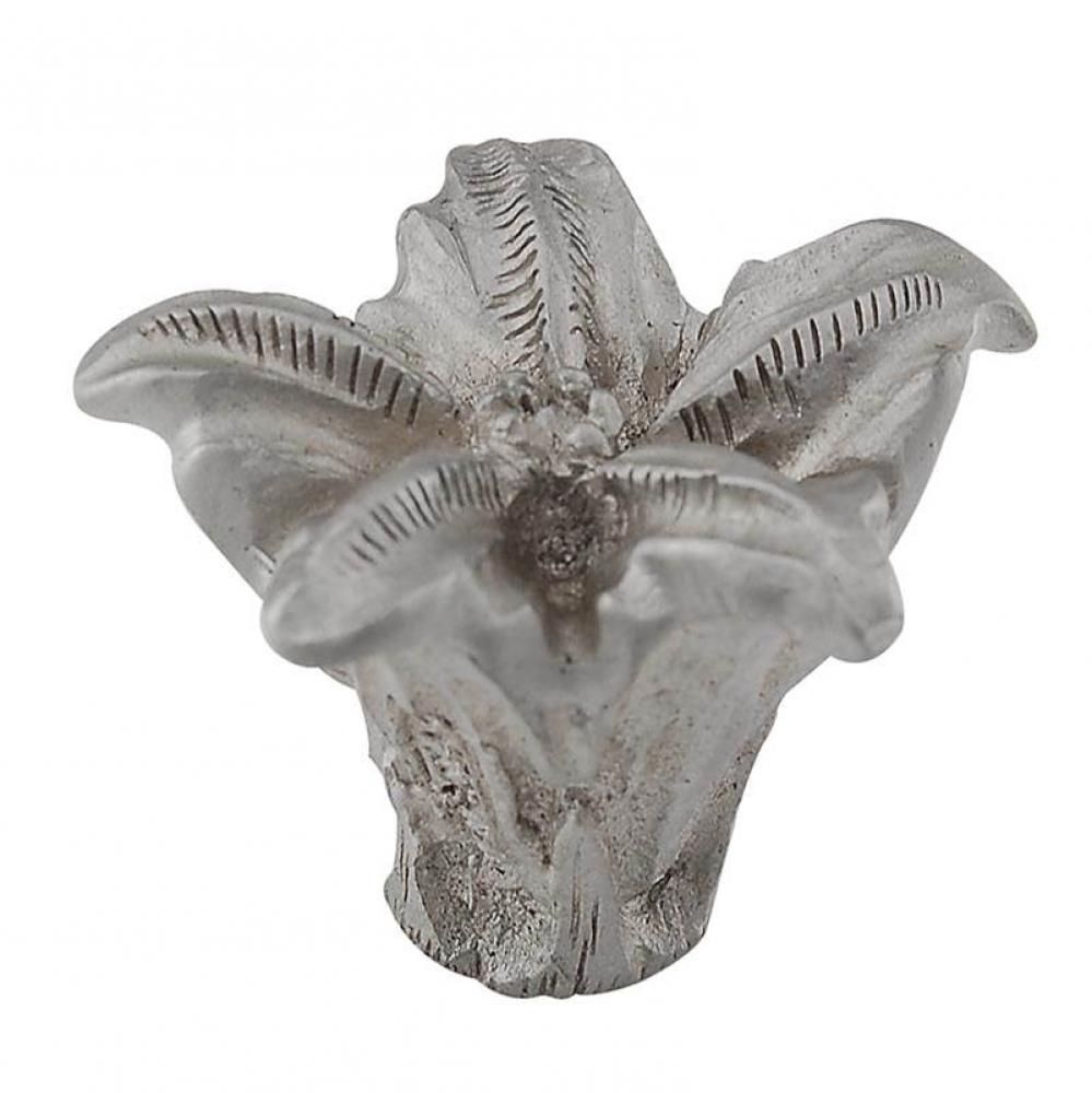 Carlotta, Knob, Large, Lily, Satin Nickel