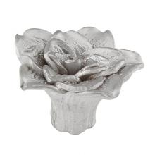 Vicenza Designs K1205-SN - Carlotta, Knob, Small, Rose, Satin Nickel