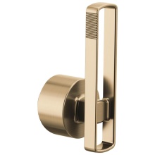 Brizo Canada HLK007-GL-L - Kintsu® Pull-Down Faucet Knob Handle Kit