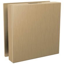 Brizo Canada RP103312GLL - Other Mystix™ Square Steam Head