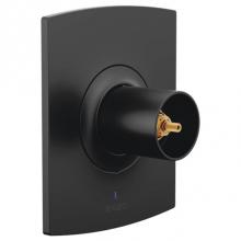 Brizo Canada T60P006-BLLHP - Kintsu® Pressure Balance Valve Only Trim - Less Handles
