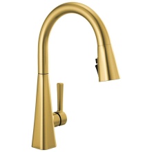 Delta Canada 19802Z-GB-DST - 19802Z-GB-DST Plumbing Kitchen Faucets