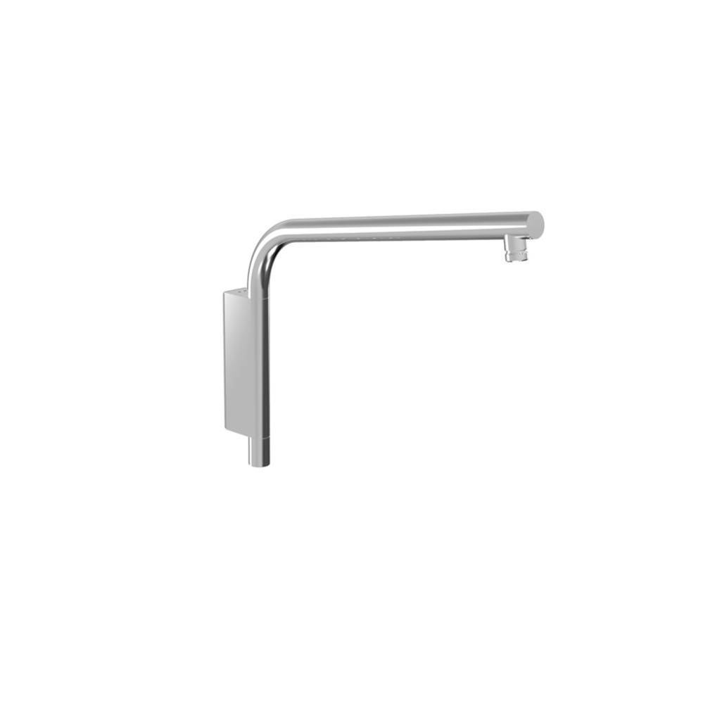 17" L-shaped shower arm