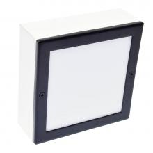 Focus Industries SL4466LEDSBLT - 2W LED STRIP, PAVER LIGHT, 6X6, BLACK