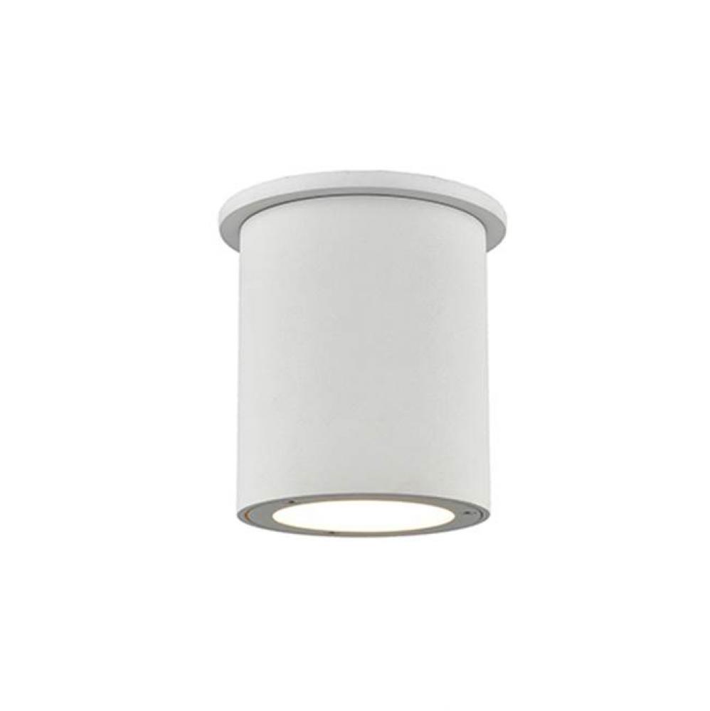 Extruded Aluminum Cylinders With Cast RetainingRings And MountsExterior Surface Mount Or Pendant