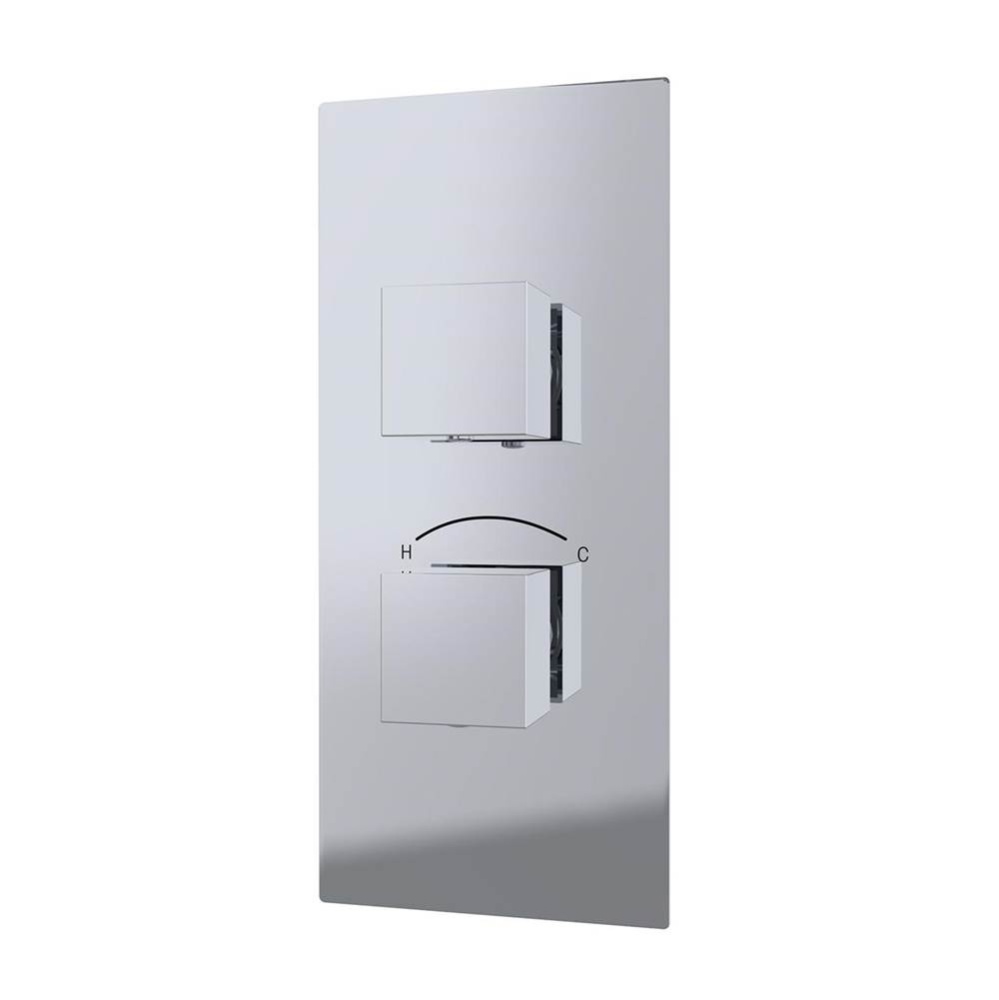 Thermostatic Valve - 2 Square Handles