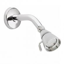 Moen Commercial 12894 - Chrome showerhead