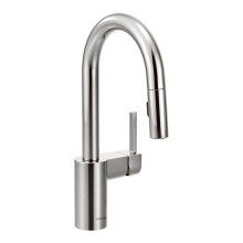 Moen Canada 5965 - Align Pulldown Bar/prep