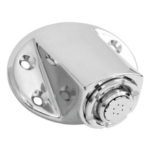 Moen Canada 8290 - Vandal Proof Shower Head