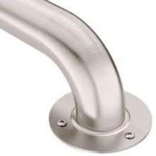 Moen Canada LR7542 - Exposed Grab Bar 42x1.5 Sl