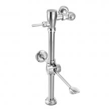 Moen Canada 8310BPW16 - Bedpan Washer Water Closet, 1 1/2-Inch, Chrome