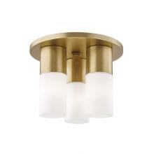 Mitzi H196503-AGB - 3 LIGHT FLUSH