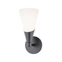 Mitzi H312101-BLK - 1 LIGHT WALL