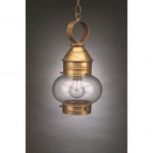 Northeast Lantern 2032-VG-MED-CLR - Onion Hanging No Cage Verdi Gris Medium Base Socket Clear Glass