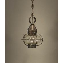 Northeast Lantern 2522-VG-MED-OPT - Caged Onion Hanging Verdi Gris Medium Base Socket Optic Glass