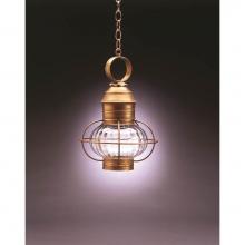 Northeast Lantern 2532-VG-MED-OPT - Caged Onion Hanging Verdi Gris Medium Base Socket Optic Glass