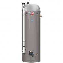 Rheem 612997 - Professional Prestige High Efficiency Condensing Power Direct Vent