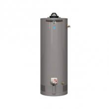 Rheem 625843 - Performance Platinum Powered Damper