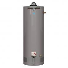 Rheem 625829 - Performance Platinum Powered Damper