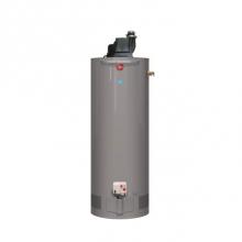 Rheem 636405 - Performance Series High Demand Power Vent 75 Gallon Natural Gas Water Heater with 6 Year Limited W