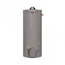 Rheem 678207 - Performance High Demand Ultra Low NOx Atmospheric