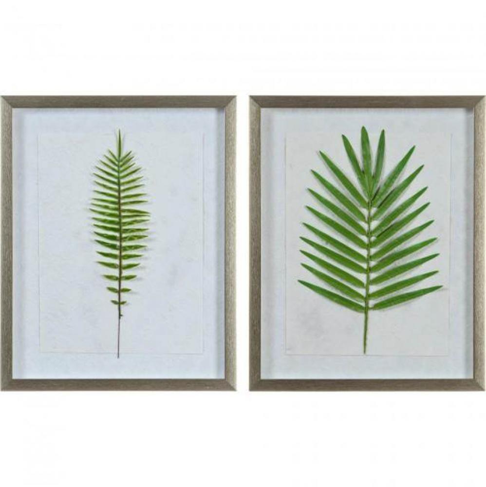 Bayard Alternative Wall Decor - 15.5'' x 19.5'' x 1.25'' each