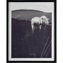 Renwil W6640 - Garvey Alternative Wall Decor - 40'' x 50'' x