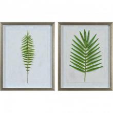 Renwil W6655 - Bayard Alternative Wall Decor - 15.5'' x 19.5'' x 1.25'' each