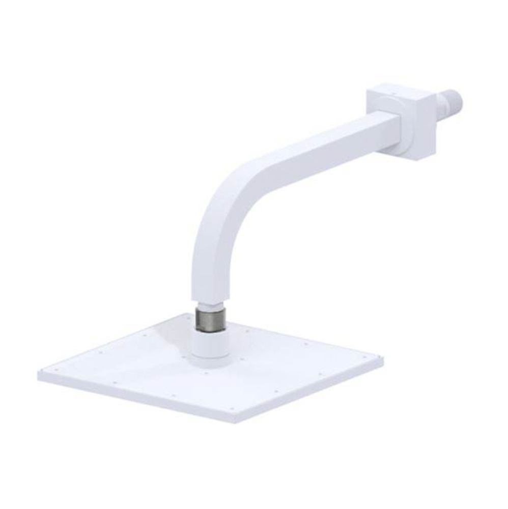 Shower Head 8'' W/Arm & Flg