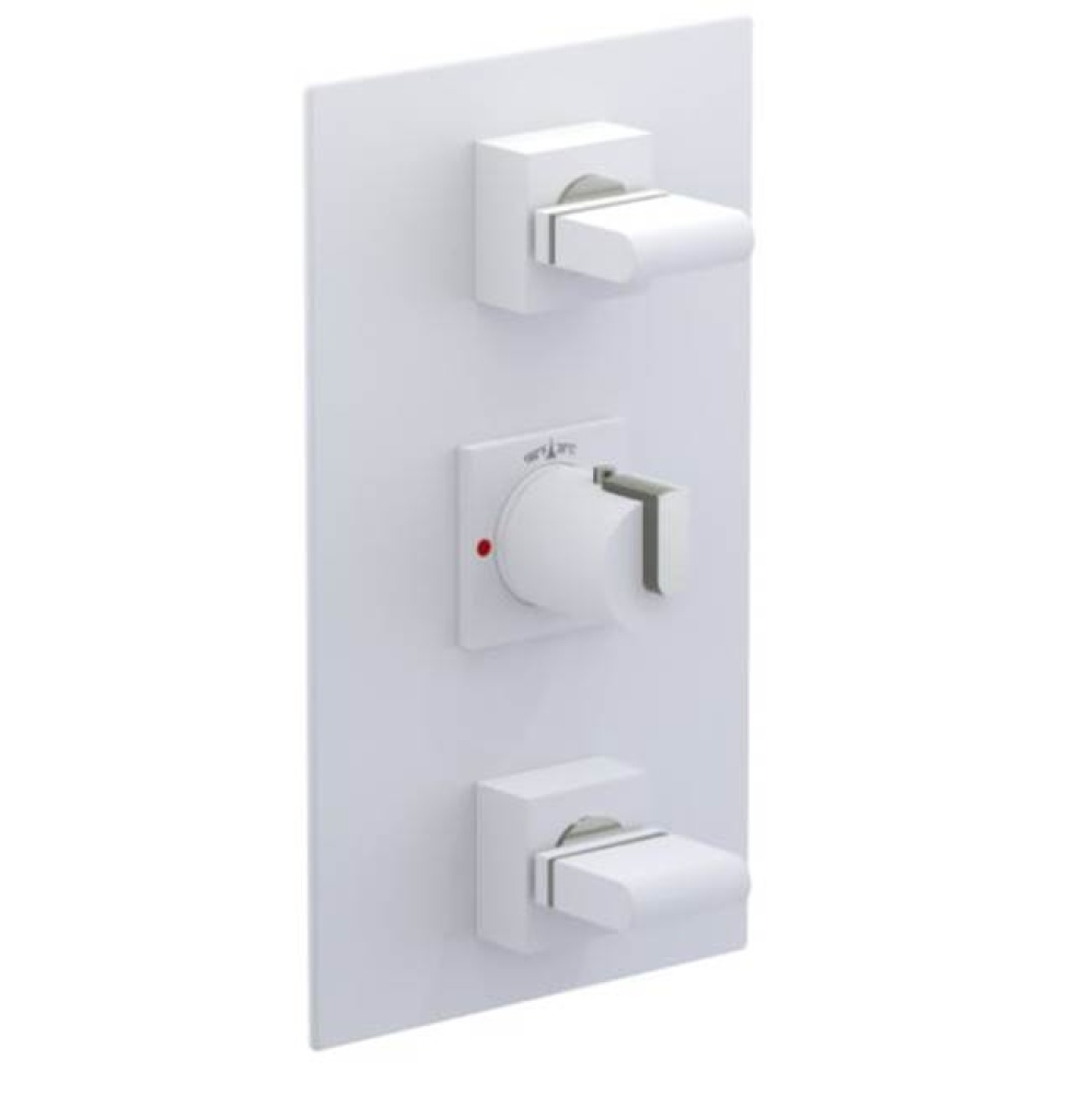 Temperature Control Valve with Stops & Two Volume Controls (Trim Only)