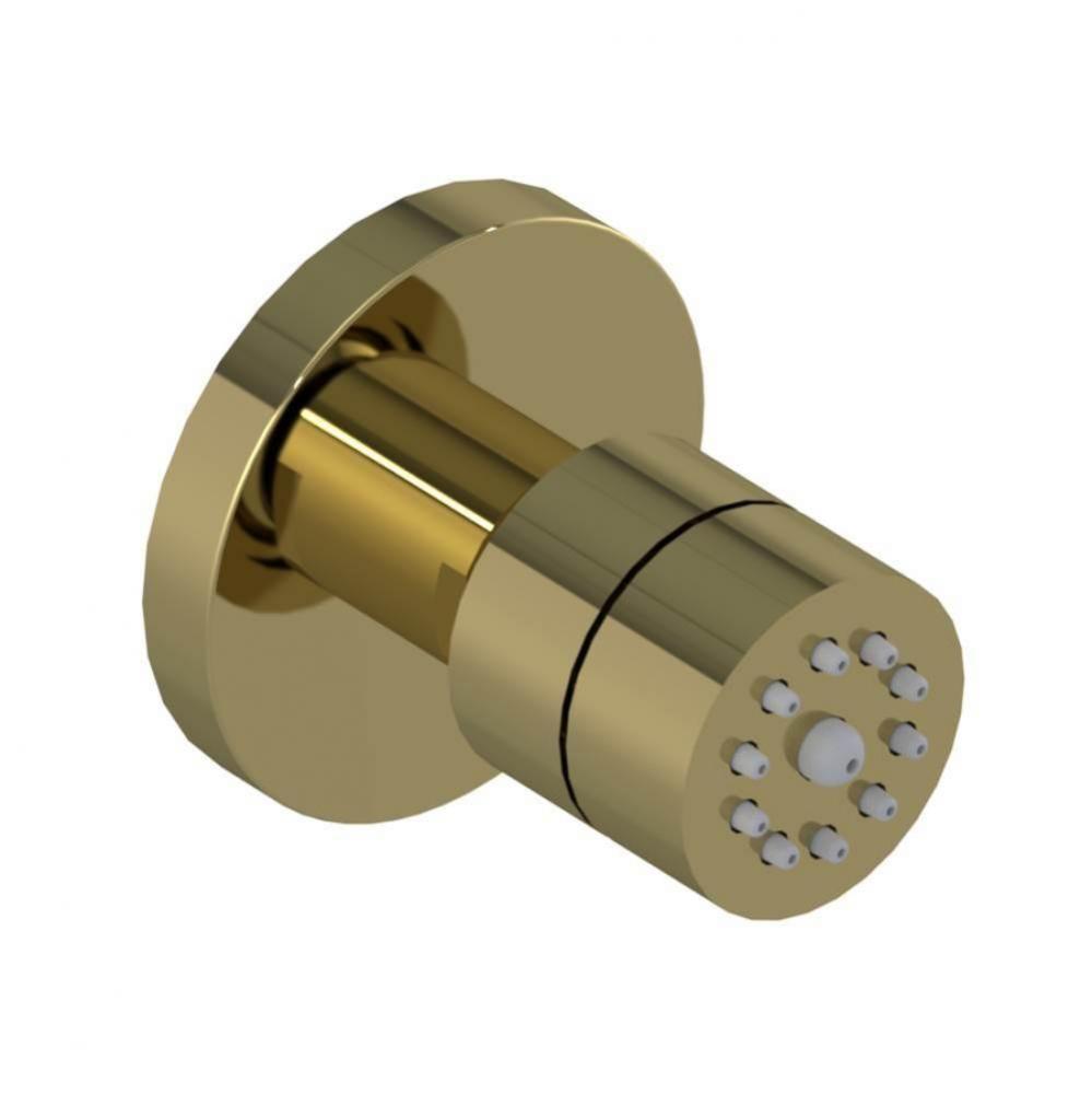 Body Spray with1/2'' NPT x 1/2'' NPSM x 3'' Nipple x2