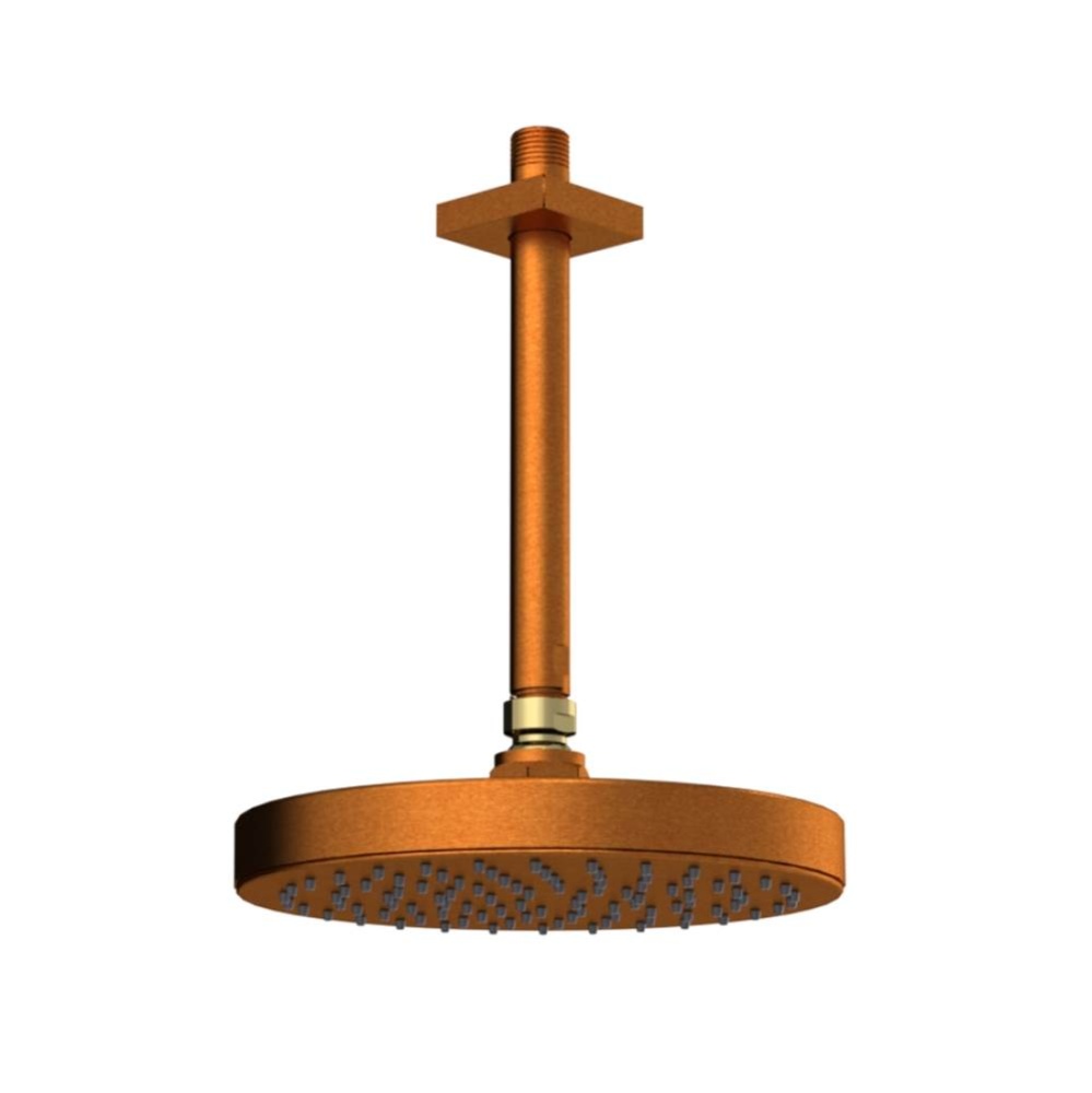 8'' Ceiling Mount Shower Head with Shower Arm & Flange