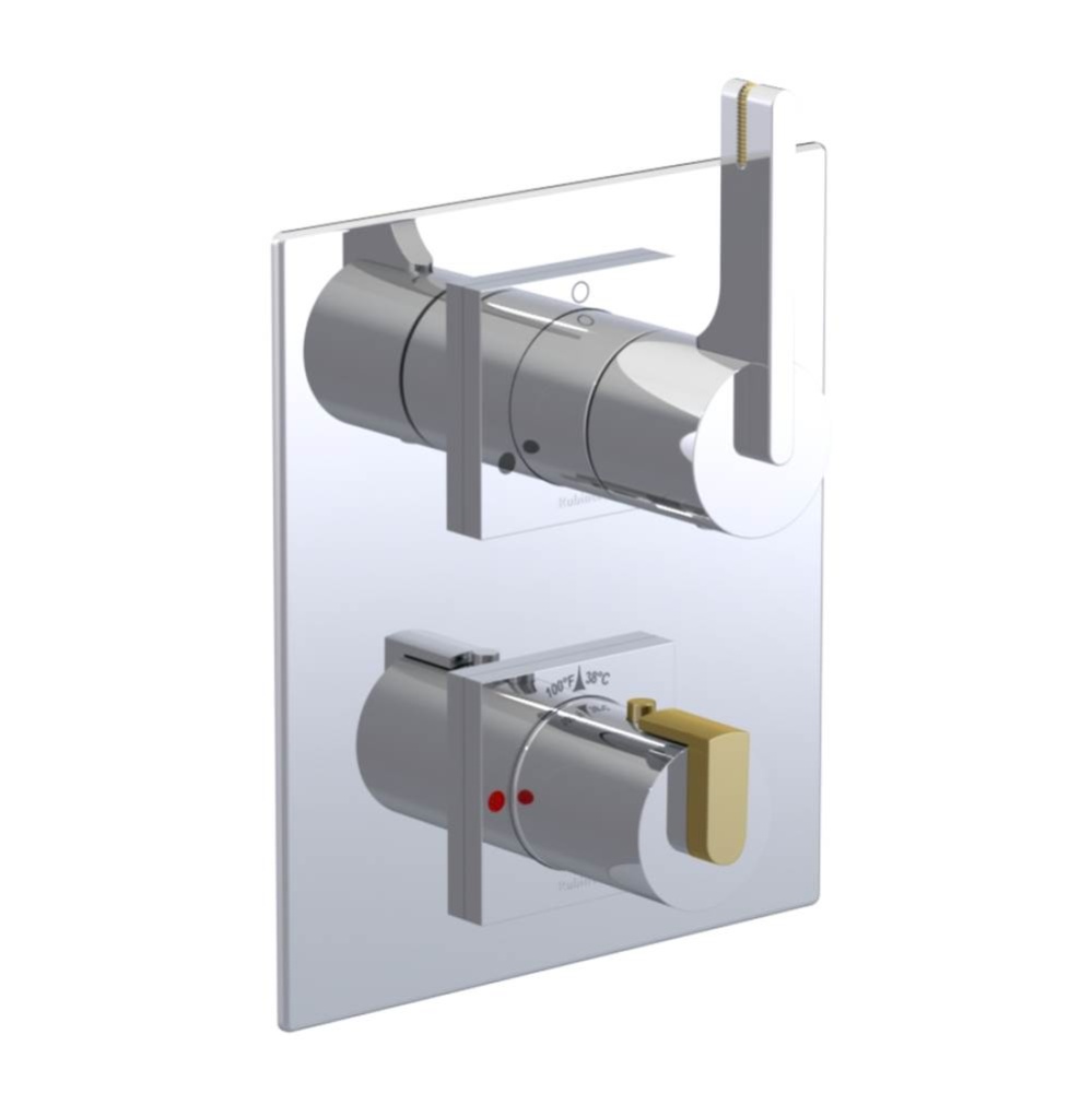 Temperature Control Valve with Stops & Two Way Diverter with Shut-Off (Trim Only)