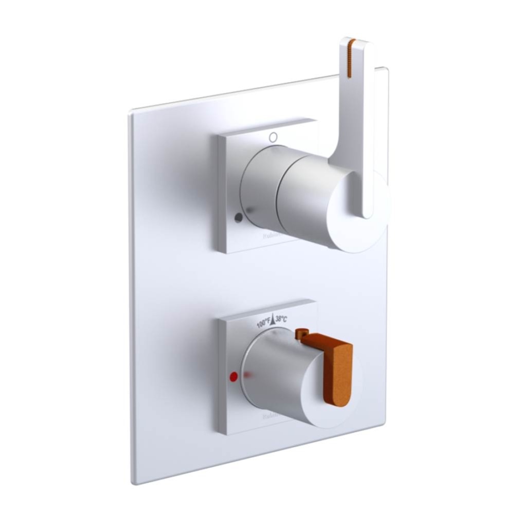 Temperature Control Valve with Stops & Two Way Diverter with Shut-Off (Trim Only)