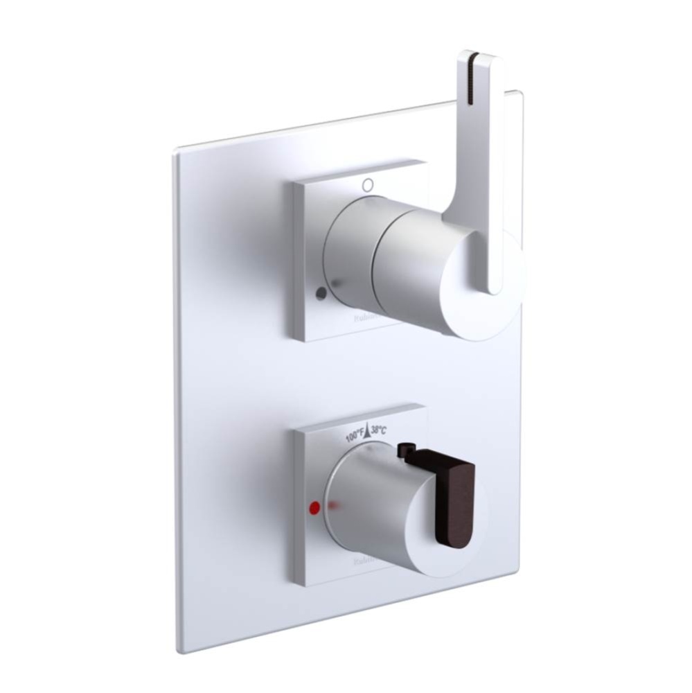 Temperature Control Valve with Stops & Two Way Diverter with Shut-Off (Trim Only)