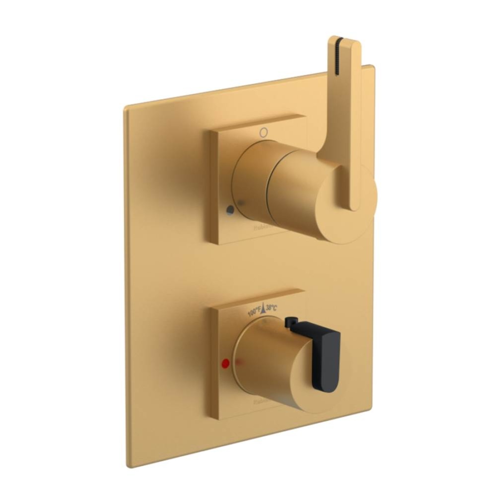 Temperature Control Valve with Stops & Two Way Diverter with Shut-Off (Trim Only)