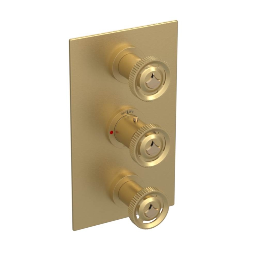 Temperature Control Valve with Stops & Two Volume Controls  (Trim Only)